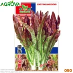 Chines Red Oil Wheat Lettuce Seeds 050