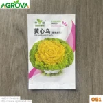Chines Latus Seeds Yellow Green 051