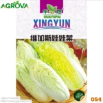 Baby Chinese Cabbage inside Yellow 054