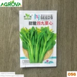 Agrova Green Peduncle Water spinach seeds 056