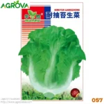 Agrova Lettuce seeds 057