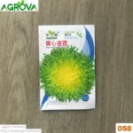 Agrova Chicory Vegetables Seeds 053