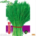 Agrova Fennel seeds Chines Doniya 061