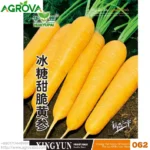 Sweet Yellow Carrot Seeds 062