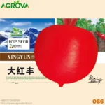 Chinese Red Cheery Radish চাইনিজ মুলার বীজ 066