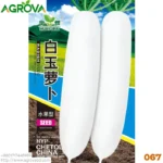 Chinese White Radish চাইনিজ মুলার বীজ 067