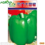 Green Capsicum Seeds 068