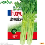 Hybrid Celery Seeds 069