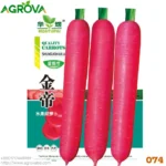 Agrova Seeds 74