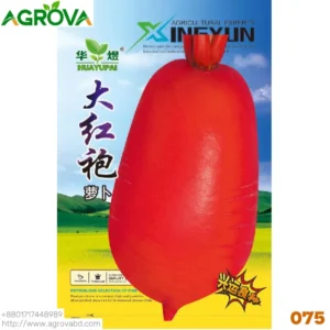 Big Red Robe Radish Seeds.