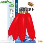 Agrova Seeds 76