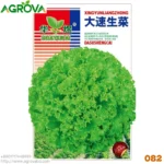 Agrova Seeds 82