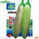 Agrova Seeds 85