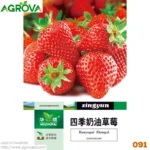 Agrova Seeds 91