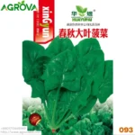 Agrova Seeds 93