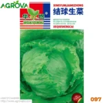 Agrova Seeds 97