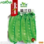 Agrova Seeds 98