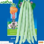 Agrova Seeds 99