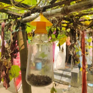 Agrova Pheromone Trap এগ্রোভা ফেরোমন ফাঁদ‌ : 1002