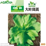 Agrova Seeds 103