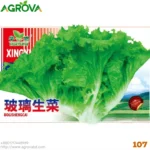 Agrova Seeds 107