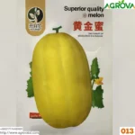 Yellow Water Melon Seeds 0013 - Image 2