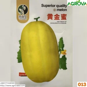 Yellow Water Melon Seeds 0013