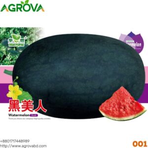 Agrova Big Size Black Beauty Water Melon Seeds