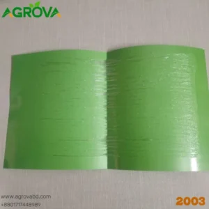 Green Sticky Fly Board with Lure Traps
