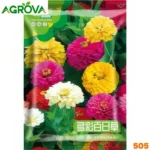Multi Color Zinnia Flower Seeds মাল্টিকালার জিনিয়া ফুলের বীজ 505