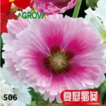 Hollyhock Flower Seeds হলিহক ফুলের বীজ 506