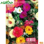 Multi Color Moss Rose Flower Seeds মাল্টিকালার পর্তুলিকা / মস রোজ ফুলের বীজ 511