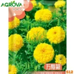 Yellow Marigold Flower Seeds হলুদ গাঁদা ফুল বীজ 512