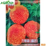 Orange Marigold Flower Seeds কমলা গাঁদা ফুল বীজ 513