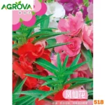 Double Balsam Flower Seeds ডাবল বালসাম ফুলের বীজ 518