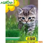 Cat Grass Seeds বিড়ালের ঘাস 521