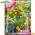 20+ Mix Flower Seeds Packet ২০+ ফুলের মিশ্রণ বীজ 527