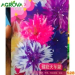 Cornflower Multicolor Seeds বহু রঙের কর্নফ্লাওয়ার  বীজ 528