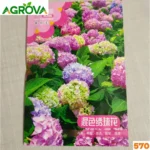 Hydrangea Flower Seeds হাইড্রাঞ্জিয়া বা স্ট্যাটিস বীজ 570