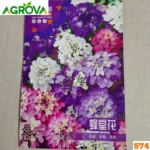Candytuft Sweet Alyssum Flower Seeds ক্যান্ডিটাফ্ট বা সুইট অ্যালিসাম ফুলের বীজ 574