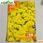 Golden Alyssum Flower Seeds গোল্ডেন অ্যালিসাম বীজ 578