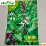 Purple Basil তুলসী বীজ ১০০০ পিস 579