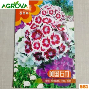 Sweet William Flower Seeds সুইট উইলিয়াম বীজ 581