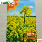 Mustard Seeds সর্ষে বীজ 582