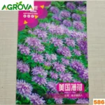 Bee Balm/Bergamot Flower Seeds বি বাম বা বার্গামট বীজ 586