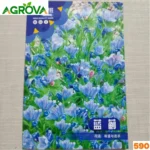 Bluebell Mix Flower Seeds ব্লুবেল মিক্স বীজ 590 - Image 2