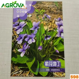 Chinese Viola Flower Seeds ভায়োলা ফুল বীজ 598