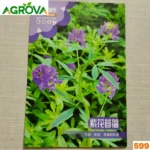 Alfalfa Lucerne Flower Seeds আলফালফা লুসার্ন বীজ 599