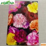 Carnation Flower Seeds Multi Color বহু রঙিন কার্নেশন ফুলের বীজ 608