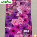 Multicolor Petunia Flower seeds বহু রঙিন পিটুনিয়া ফুলের বীজে 610